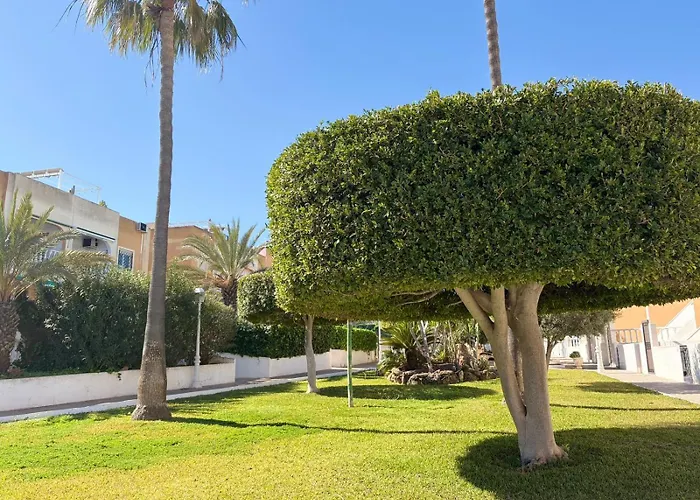 Apartmán Serenity Oasis *